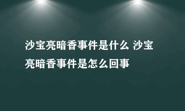 沙宝亮暗香事件是什么 沙宝亮暗香事件是怎么回事