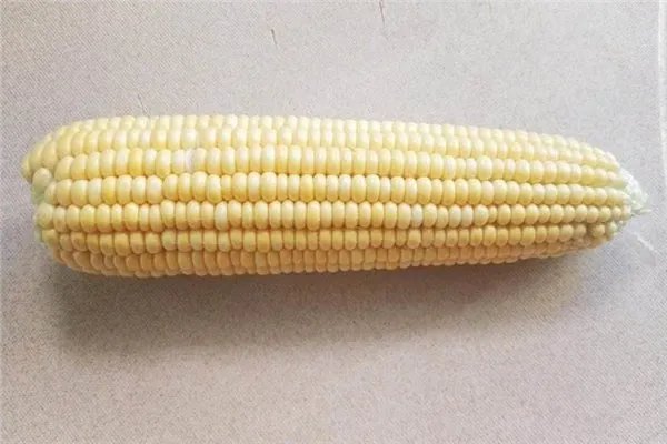 我国玉米价格每吨涨千元,对农业户有何影响?