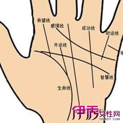 男人左手掌纹图解展示