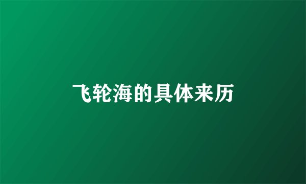 飞轮海的具体来历