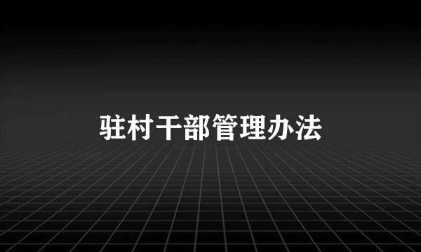 驻村干部管理办法