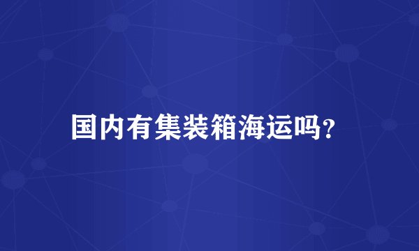 国内有集装箱海运吗？