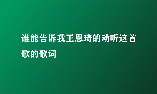 谁能告诉我王恩琦的动听这首歌的歌词