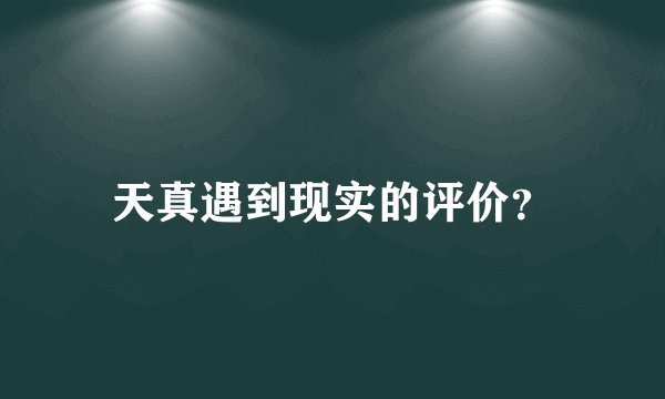天真遇到现实的评价？