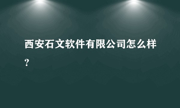 西安石文软件有限公司怎么样？