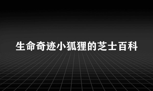 生命奇迹小狐狸的芝士百科