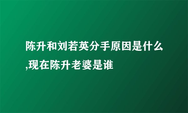 陈升和刘若英分手原因是什么,现在陈升老婆是谁