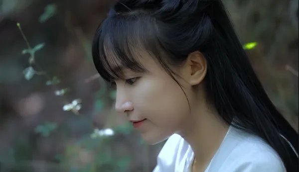 李子柒疑遭越南美食博主抄袭，维权难度真的有那么大吗？
