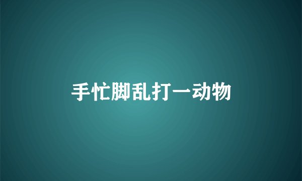 手忙脚乱打一动物