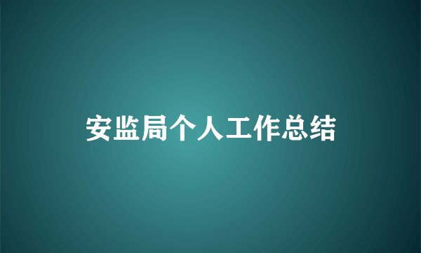 安监局个人工作总结