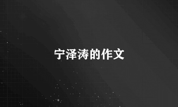 宁泽涛的作文