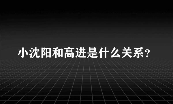 小沈阳和高进是什么关系？