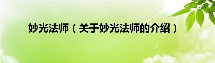 妙光法师（关于妙光法师的介绍）