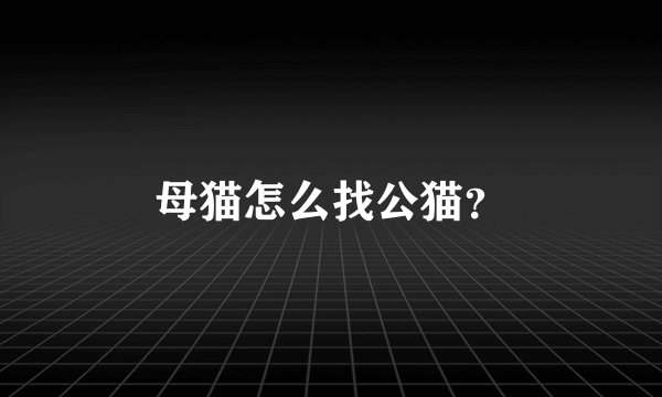 母猫怎么找公猫？