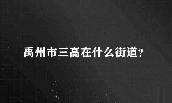 禹州市三高在什么街道？