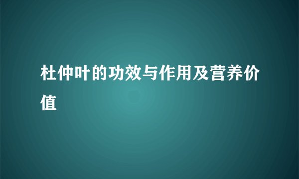 杜仲叶的功效与作用及营养价值