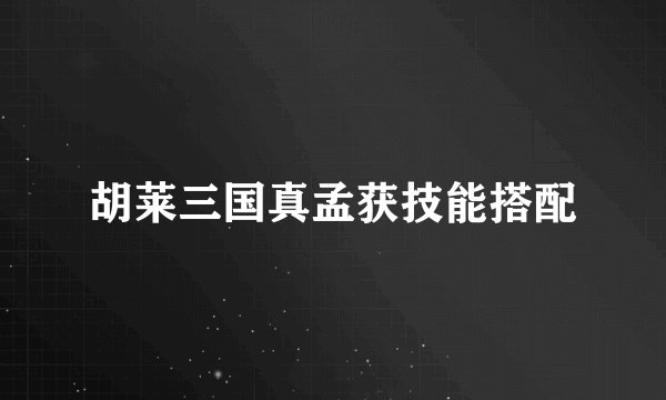 胡莱三国真孟获技能搭配