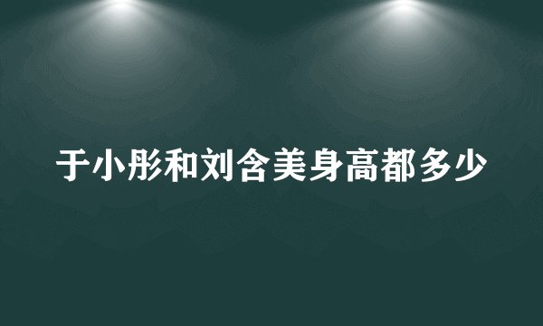 于小彤和刘含美身高都多少