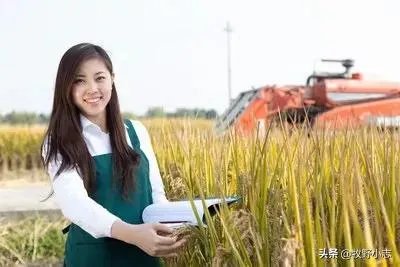 农村老话“大暑凉飕飕,立冬笑死牛”是啥意思?有道理吗?