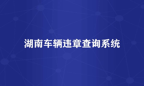 湖南车辆违章查询系统