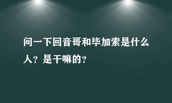 问一下回音哥和毕加索是什么人?是干嘛的?