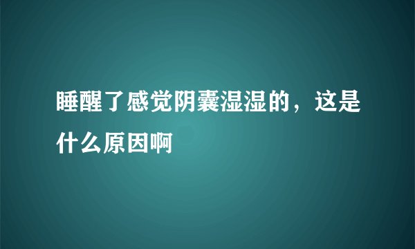 睡醒了感觉阴囊湿湿的，这是什么原因啊