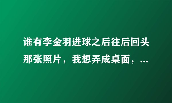谁有李金羽进球之后往后回头那张照片，我想弄成桌面，截图在下面，谢谢了