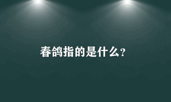 春鸽指的是什么？