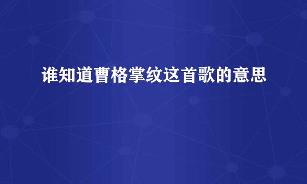 谁知道曹格掌纹这首歌的意思