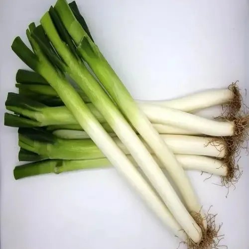 葱白煮水能治感冒吗?怎样吃更有效?
