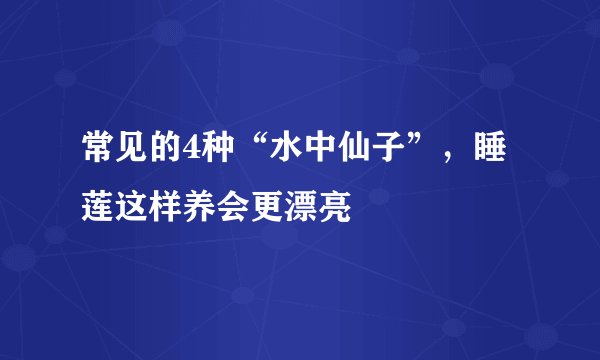 常见的4种“水中仙子”，睡莲这样养会更漂亮