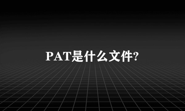 PAT是什么文件?