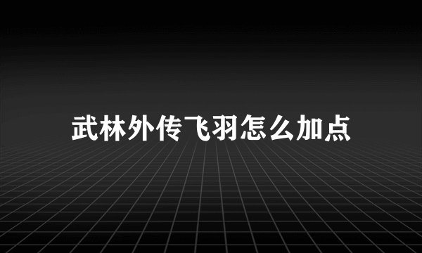 武林外传飞羽怎么加点