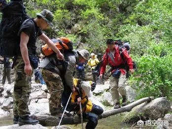 房车自驾游会不会取代旅行社?