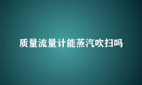 质量流量计能蒸汽吹扫吗