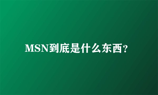 MSN到底是什么东西？