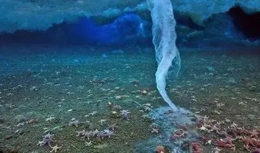 南极附近的死亡冰柱能杀死那么多生物，是什么原因呢？