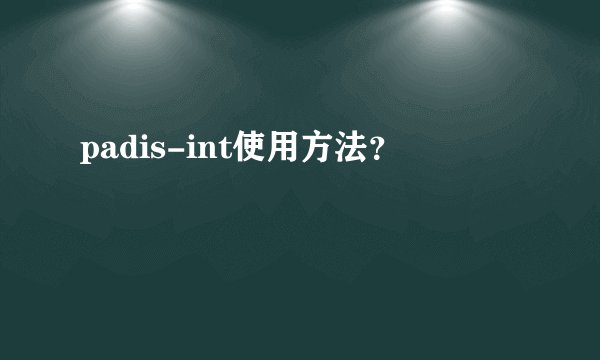 padis-int使用方法？