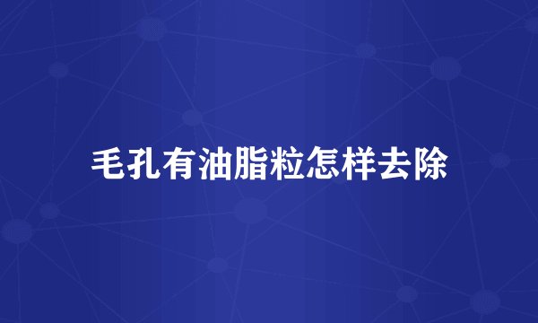 毛孔有油脂粒怎样去除