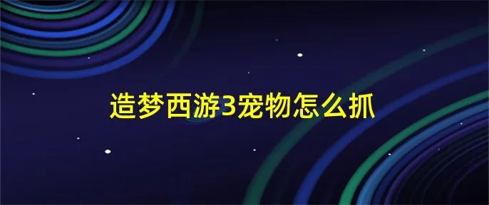 造梦西游3宠物怎么抓