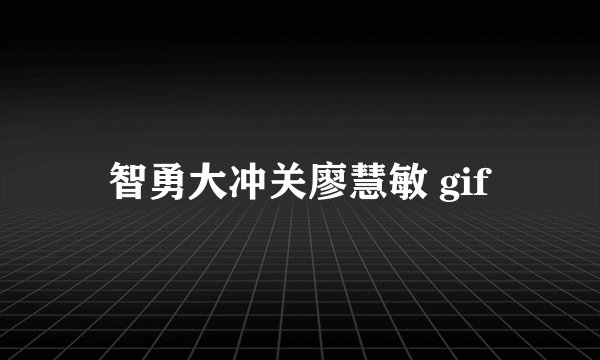 智勇大冲关廖慧敏 gif