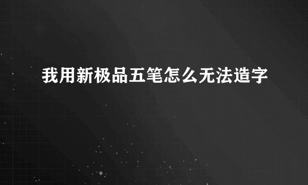我用新极品五笔怎么无法造字