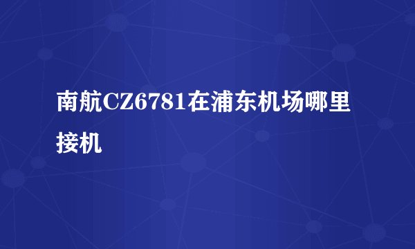 南航CZ6781在浦东机场哪里接机