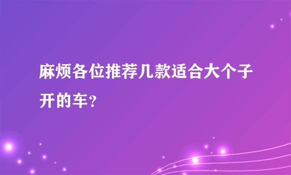 麻烦各位推荐几款适合大个子开的车？