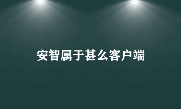安智属于甚么客户端