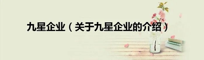 九星企业（关于九星企业的介绍）