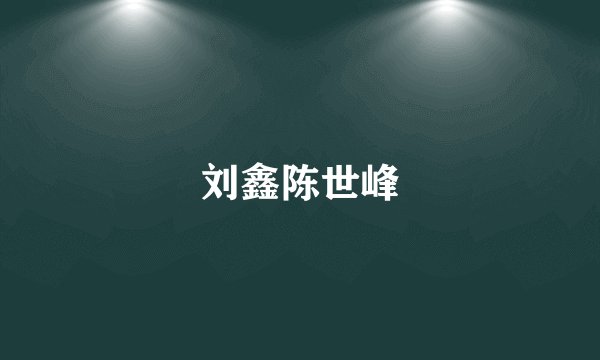 刘鑫陈世峰