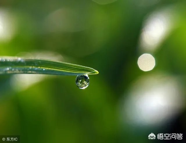 雨水落雨三大碗 大河小河都要满 说的是哪个季节