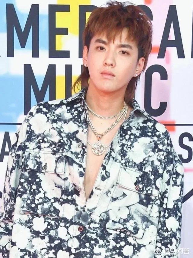 吴亦凡亮相全美音乐奖AMA红毯，挑战鲟鱼发型，外媒镜头下颜值如何？