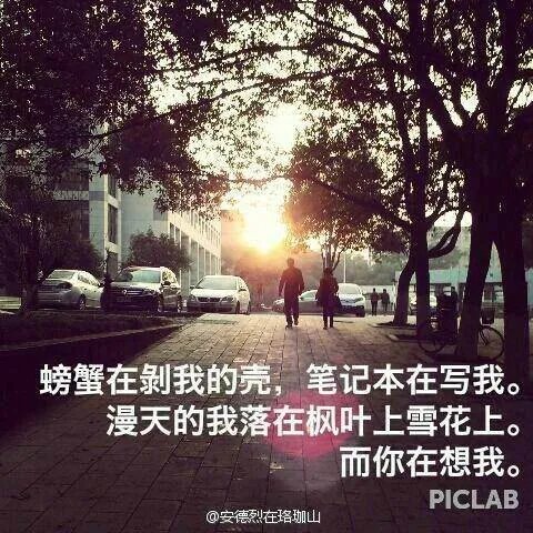 武汉大学 三行情书比赛的冠军是谁?